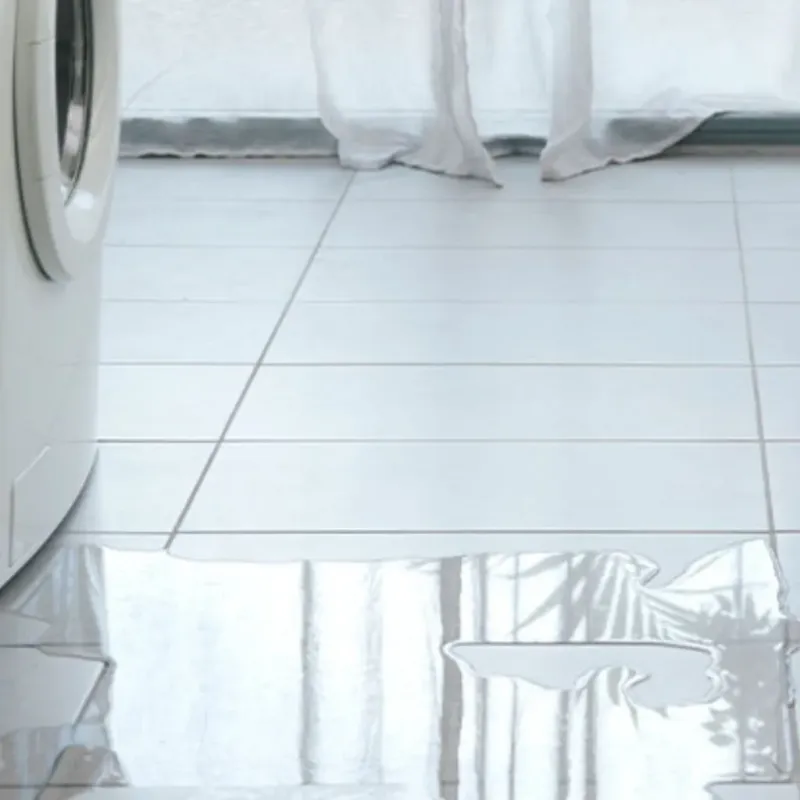 Appliance Leak Cleanup in Franklin County, FL