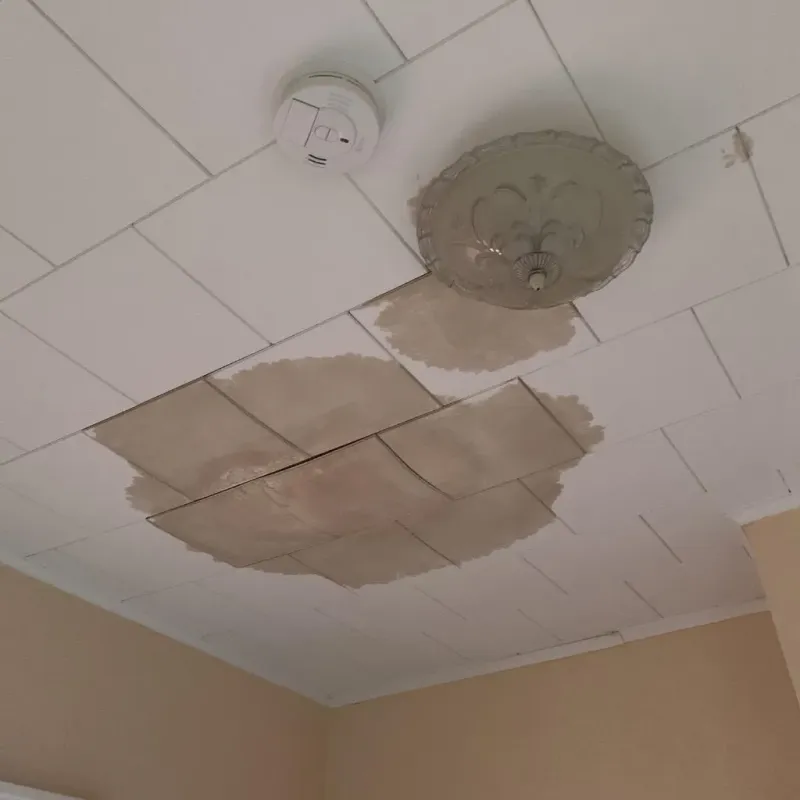 Ceiling Water Damage Repair in Franklin County, FL